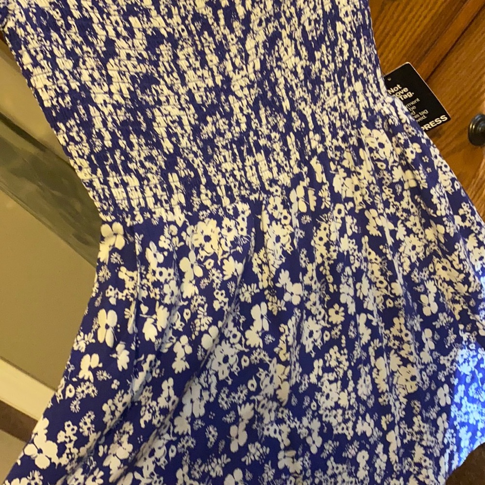 Express Dress - Picture 3 of 4